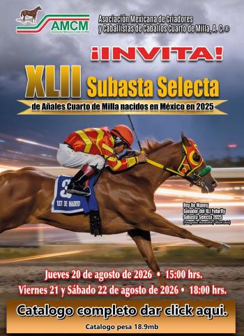Producto disponible en próxima subasta