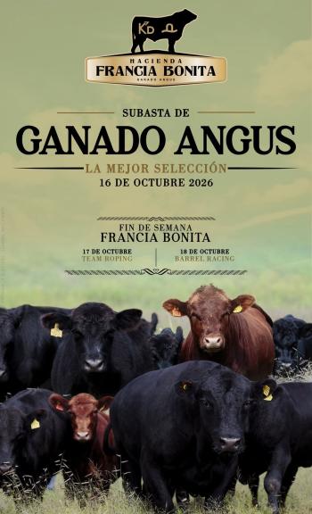 Producto disponible en próxima subasta