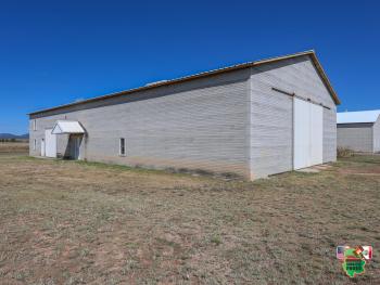 24 de Noviembre 9:00am Subasta Familia Enns Campo 30 # 29